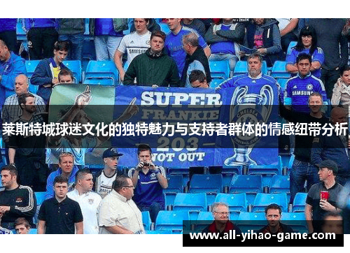 莱斯特城球迷文化的独特魅力与支持者群体的情感纽带分析 莱斯特城球迷文化的独特魅力与支持者群体的情感纽带分析