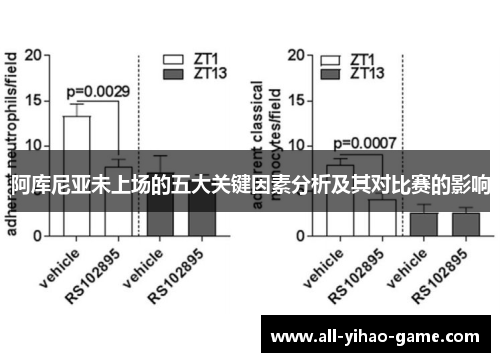 阿库尼亚未上场的五大关键因素分析及其对比赛的影响 阿库尼亚未上场的五大关键因素分析及其对比赛的影响